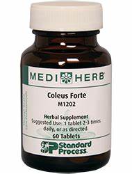 Coleus Forte 60 ct